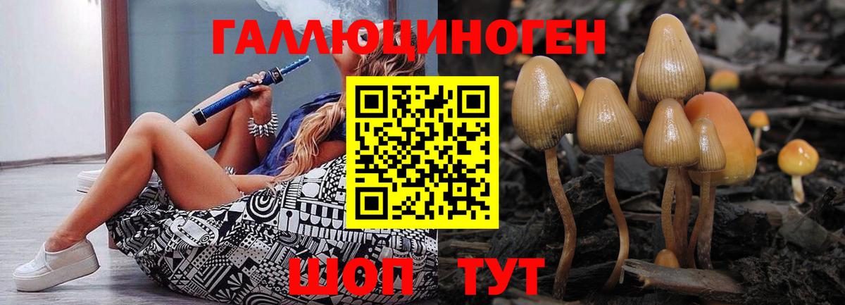 Галлюциногенные грибы Magic Shrooms  Вход с VPN  Краснодар  Псилоцибиновые грибы MAGIC MUSHROOMS 